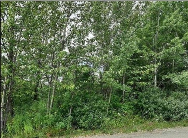 Lot for sale in Fort St. James, Fort St. James, 821 Murray Road, 262993064 | Realtylink.org