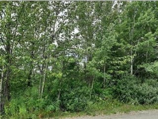 Lot for sale in Fort St. James, Fort St. James, 821 Murray Road, 262993064 | Realtylink.org