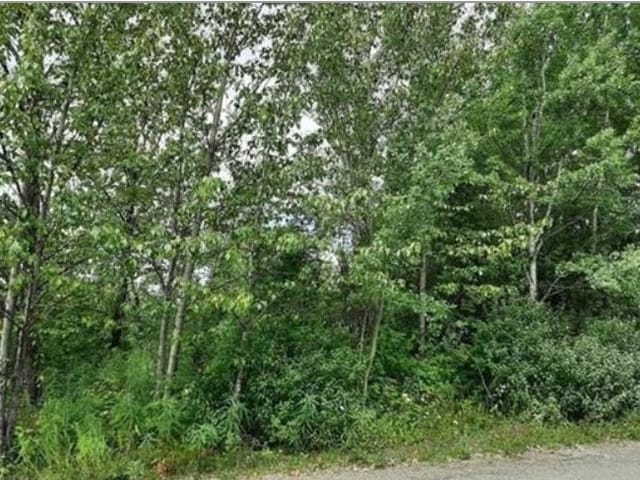 Lot for sale in Fort St. James, Fort St. James, 821 Murray Road, 262993064 | Realtylink.org