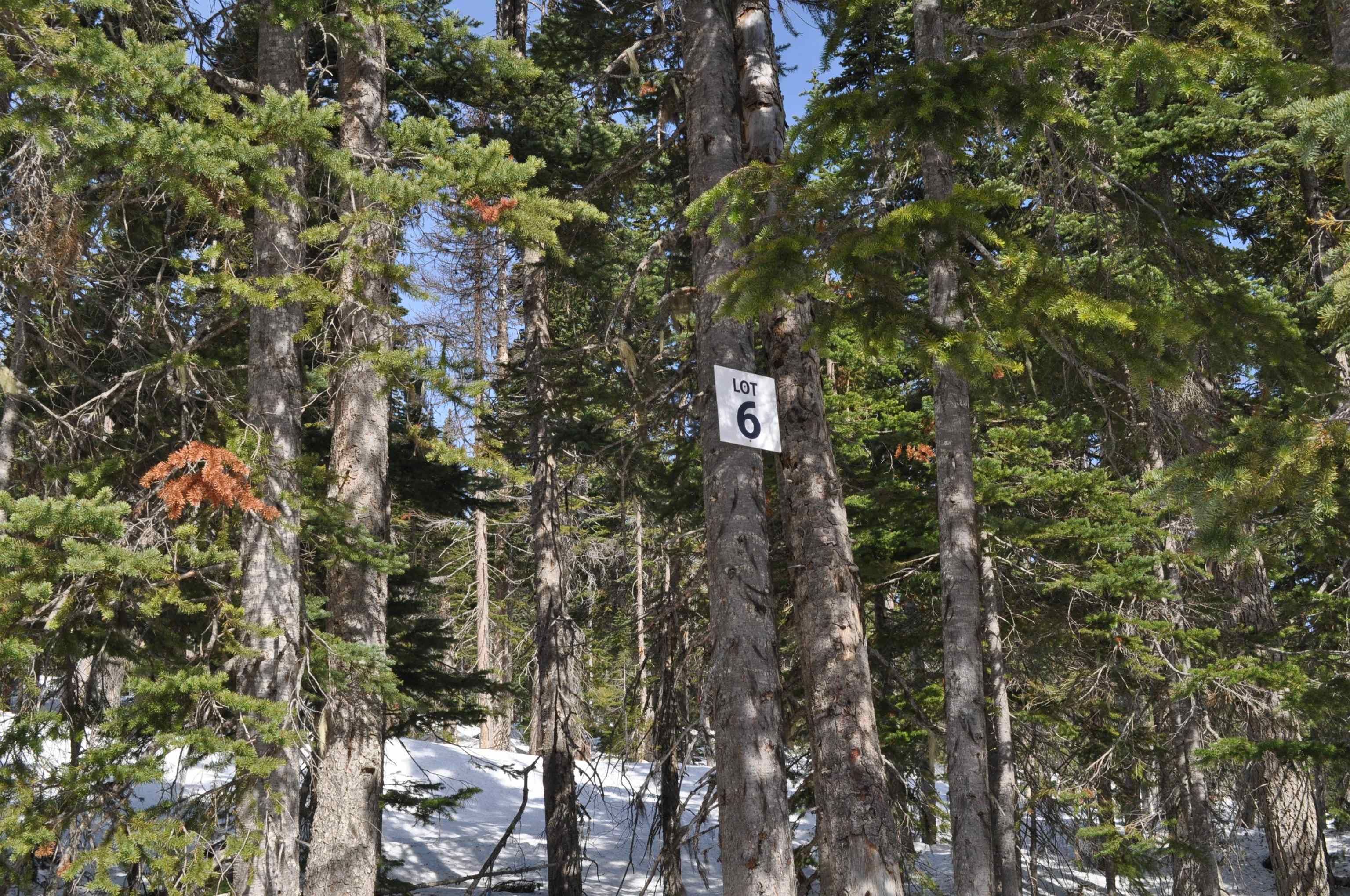 Lot for sale in Smithers, Smithers And Area, Pr. St Lt 6 Alpine Way, 262995725 | Realtylink.org