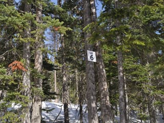 Lot for sale in Smithers, Smithers And Area, Pr. St Lt 6 Alpine Way, 262995725 | Realtylink.org