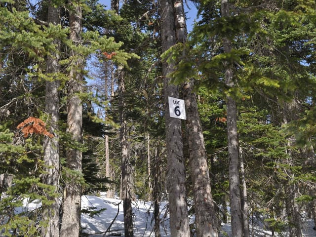 Lot for sale in Smithers, Smithers And Area, Pr. St Lt 6 Alpine Way, 262995725 | Realtylink.org