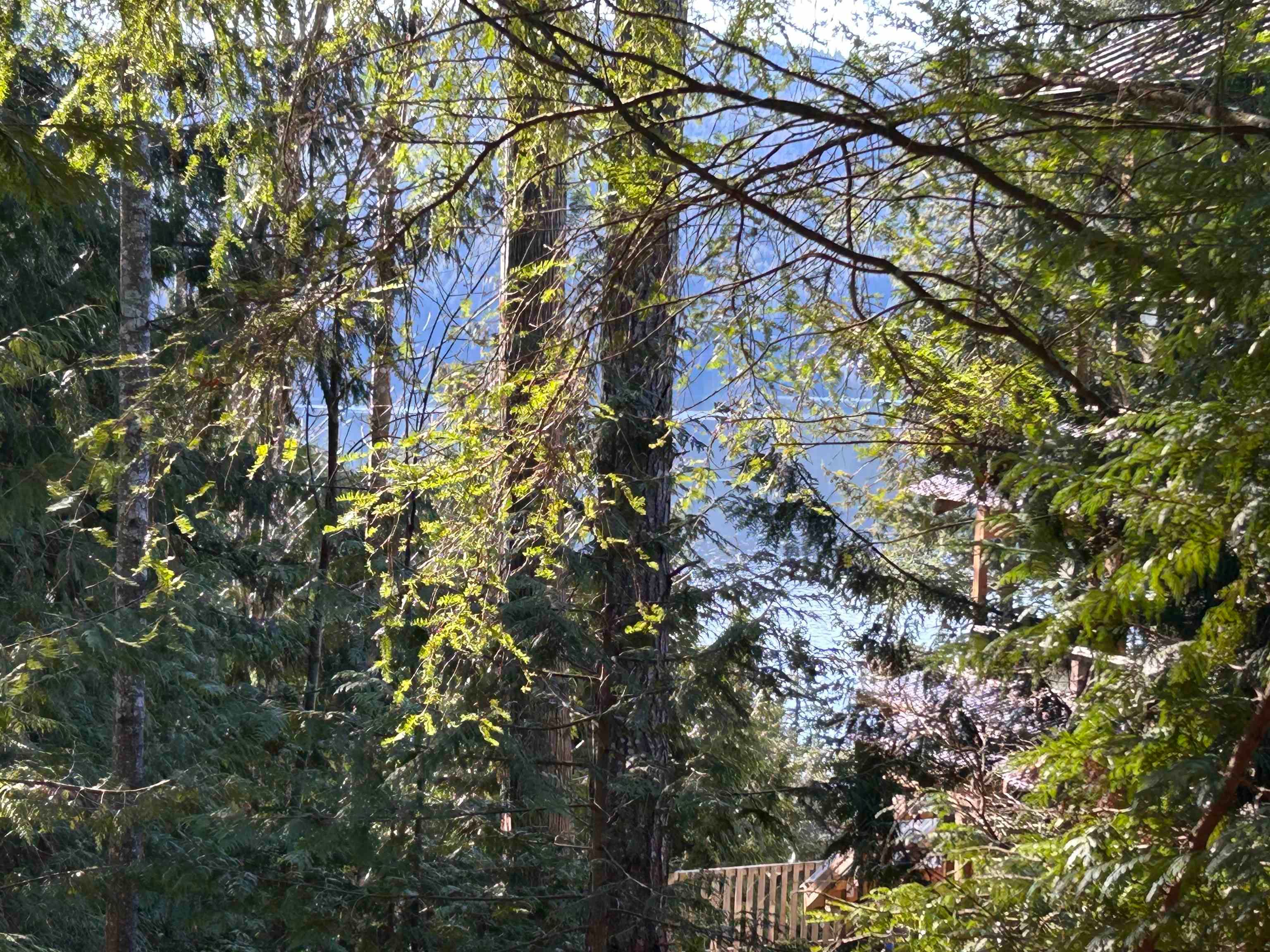Lot for sale in Sechelt, Sunshine Coast, Lot 71 Klahanie Drive, 262996942 | Realtylink.org