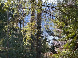 Lot for sale in Sechelt, Sunshine Coast, Lot 71 Klahanie Drive, 262996942 | Realtylink.org