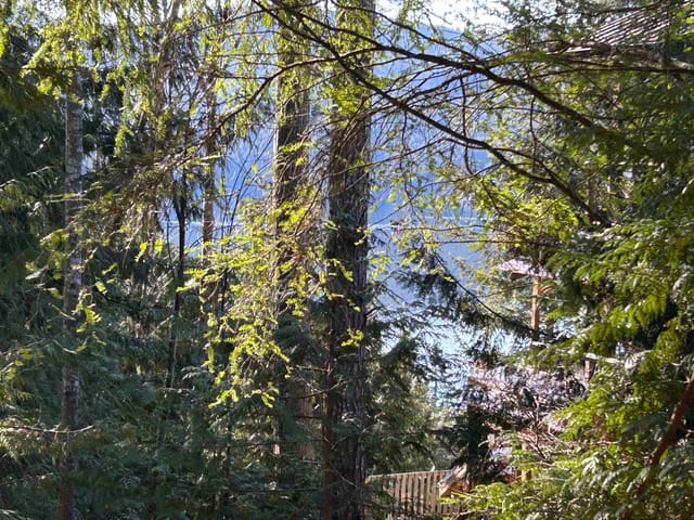 Lot for sale in Sechelt, Sunshine Coast, Lot 71 Klahanie Drive, 262996942 | Realtylink.org
