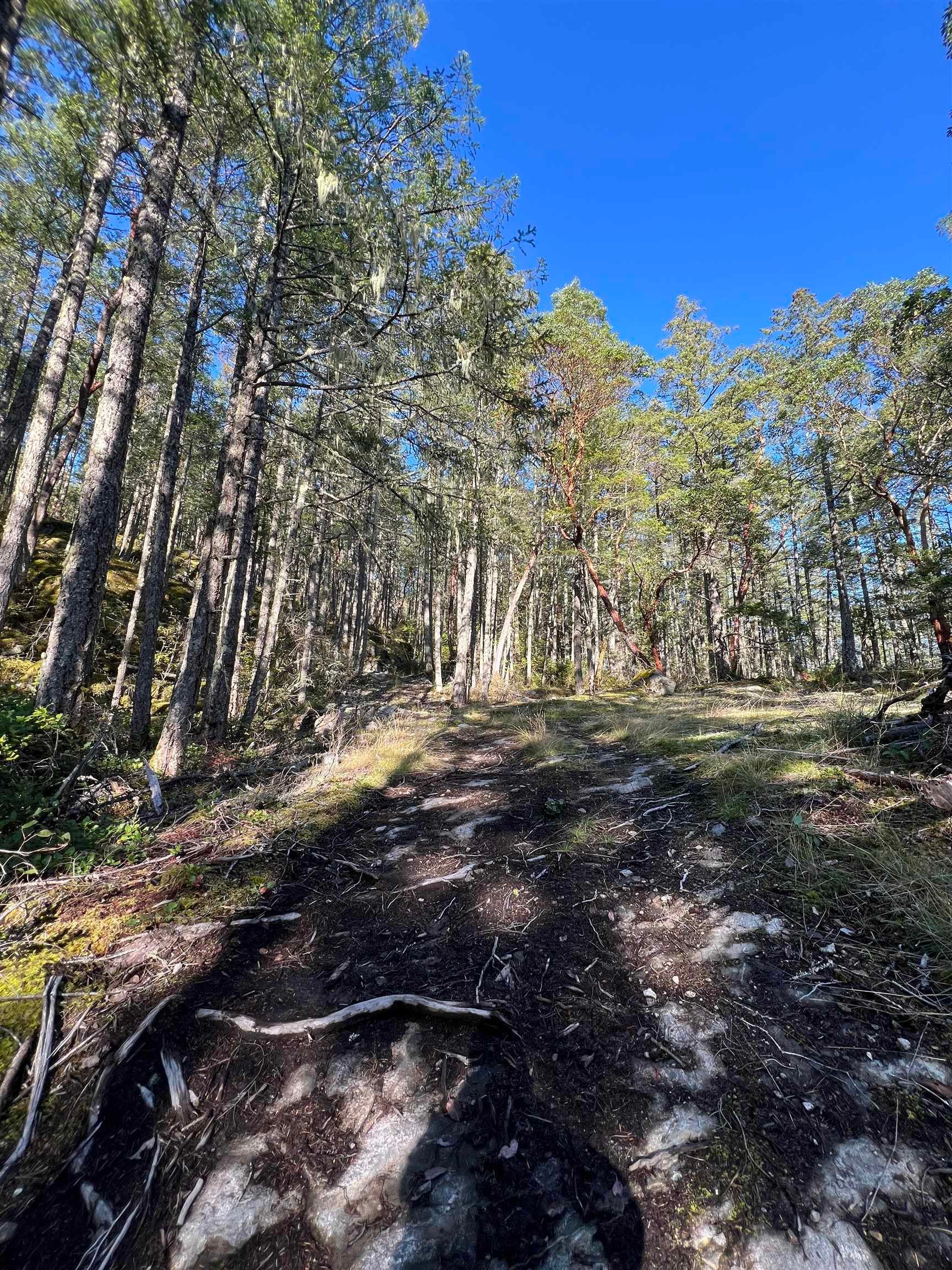 Lot for sale in Garden Bay, Sunshine Coast, LOT 2 13685 Lee Road, 263001123 | Realtylink.org