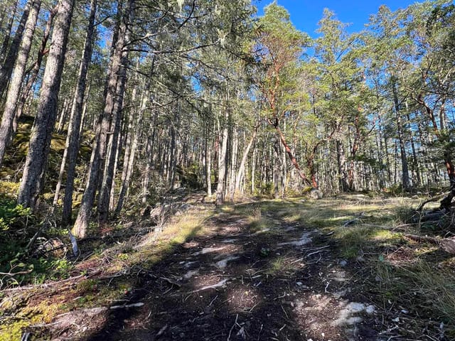 Lot for sale in Garden Bay, Sunshine Coast, LOT 2 13685 Lee Road, 263001123 | Realtylink.org