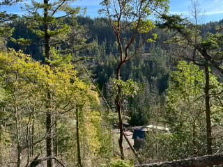 Lot for sale in Garden Bay, Sunshine Coast, LOT 5 13685 Lee Road, 263001140 | Realtylink.org