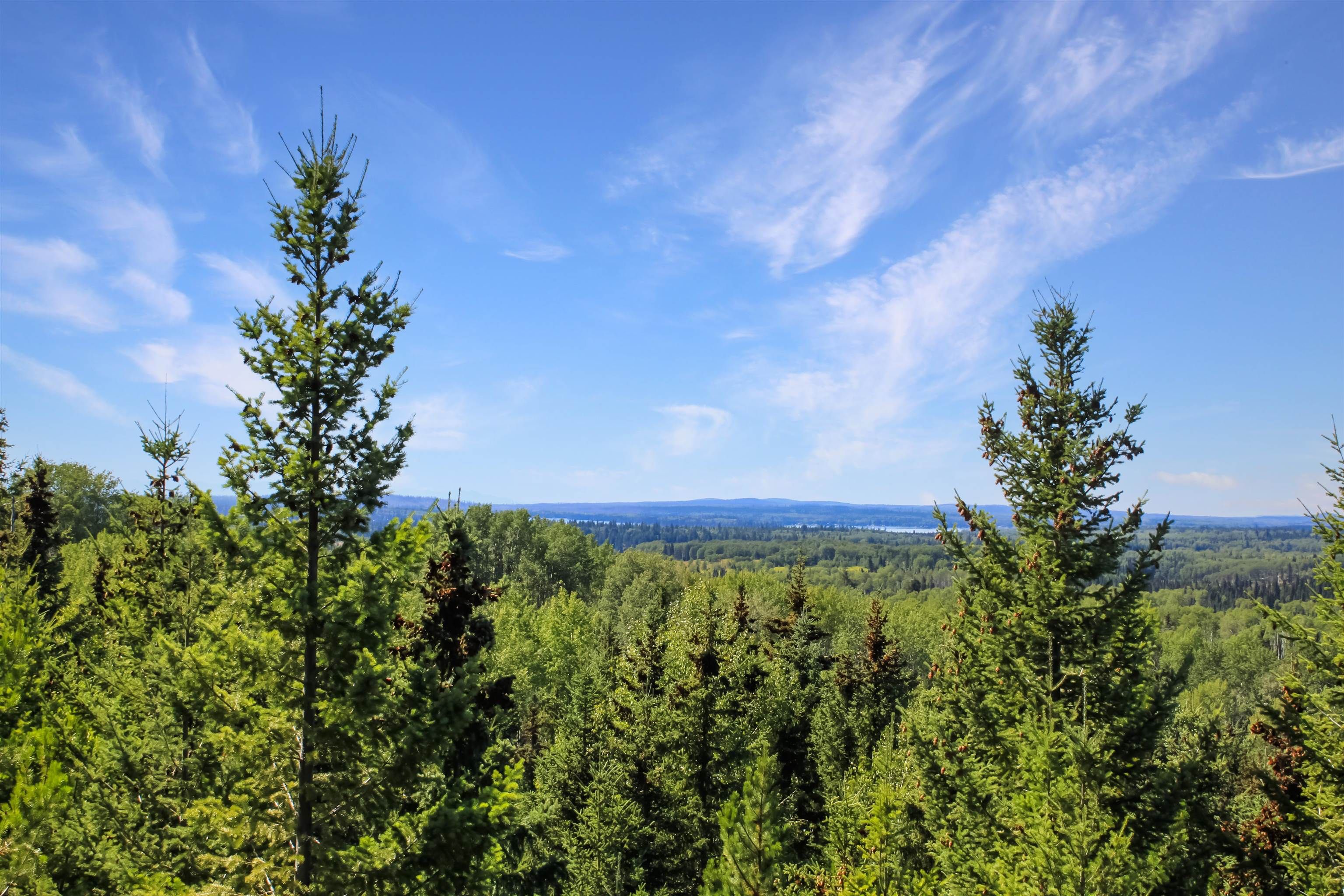 Lot for sale in Bridge Lake, 100 Mile House, PROP Lot 32 Brown Road, 263001469 | Realtylink.org