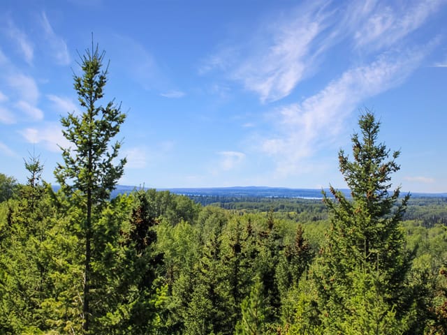 Lot for sale in Bridge Lake, 100 Mile House, PROP Lot 32 Brown Road, 263001469 | Realtylink.org