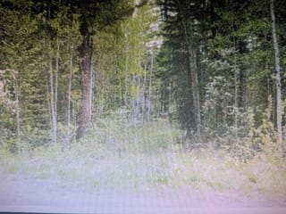 Lot for sale in Canim Lake, 100 Mile House, Lot 24 Kokanee Road, 263001982 | Realtylink.org
