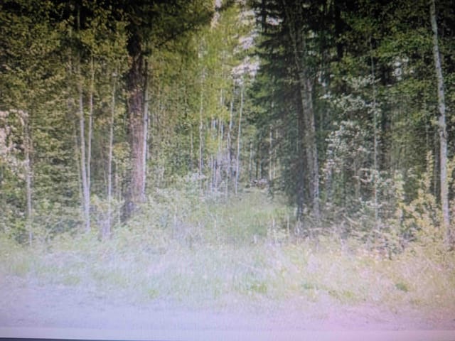 Lot for sale in Canim Lake, 100 Mile House, Lot 24 Kokanee Road, 263001982 | Realtylink.org