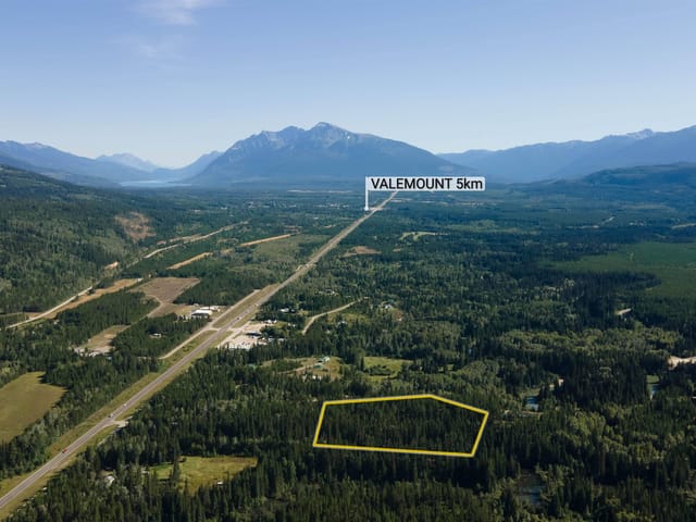 Lot for sale in Valemount, Robson Valley, LOT A 3840 Bryan Road, 263002065 | Realtylink.org