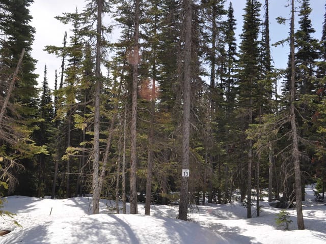 Lot for sale in Smithers, Smithers And Area, Pr. St Lt 13 Alpine Way, 263009099 | Realtylink.org