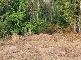 Lot for sale in Maple Ridge, Maple Ridge, 12350 270a Street, 263012310 | Realtylink.org