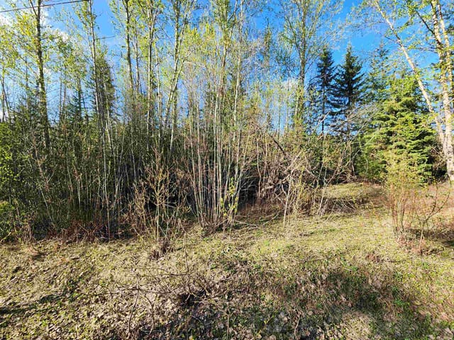 Lot for sale in Prince George, PG Rural North, LOT 13 Meadowview Road, 263012932 | Realtylink.org