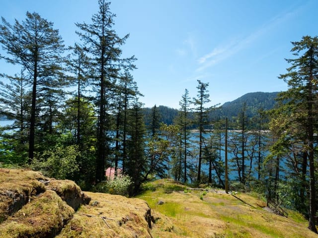 Lot for sale in Bowen Island, Bowen Island, 319 David Road, 263016376 | Realtylink.org