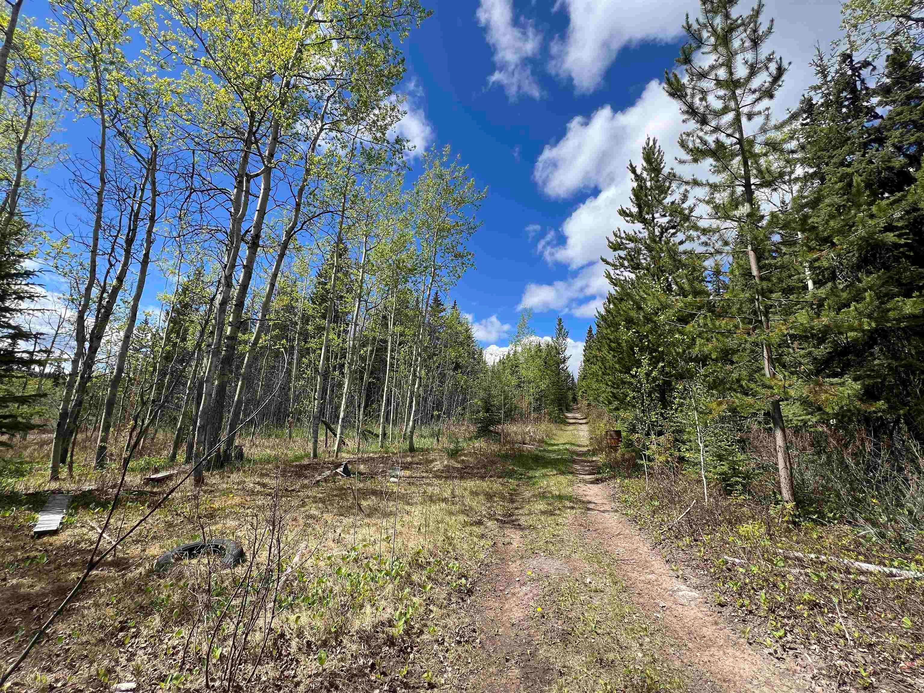 Lot for sale in Burns Lake, Burns Lake, Dl 2466 Tchesinkut Lake, 263019451 | Realtylink.org