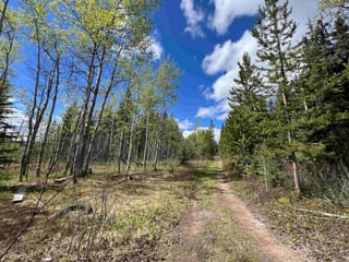 Lot for sale in Burns Lake, Burns Lake, Dl 2466 Tchesinkut Lake, 263019451 | Realtylink.org