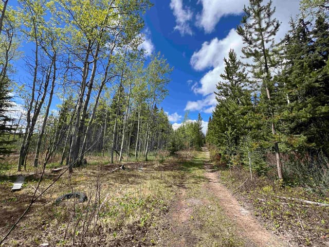 Lot for sale in Burns Lake, Burns Lake, Dl 2466 Tchesinkut Lake, 263019451 | Realtylink.org