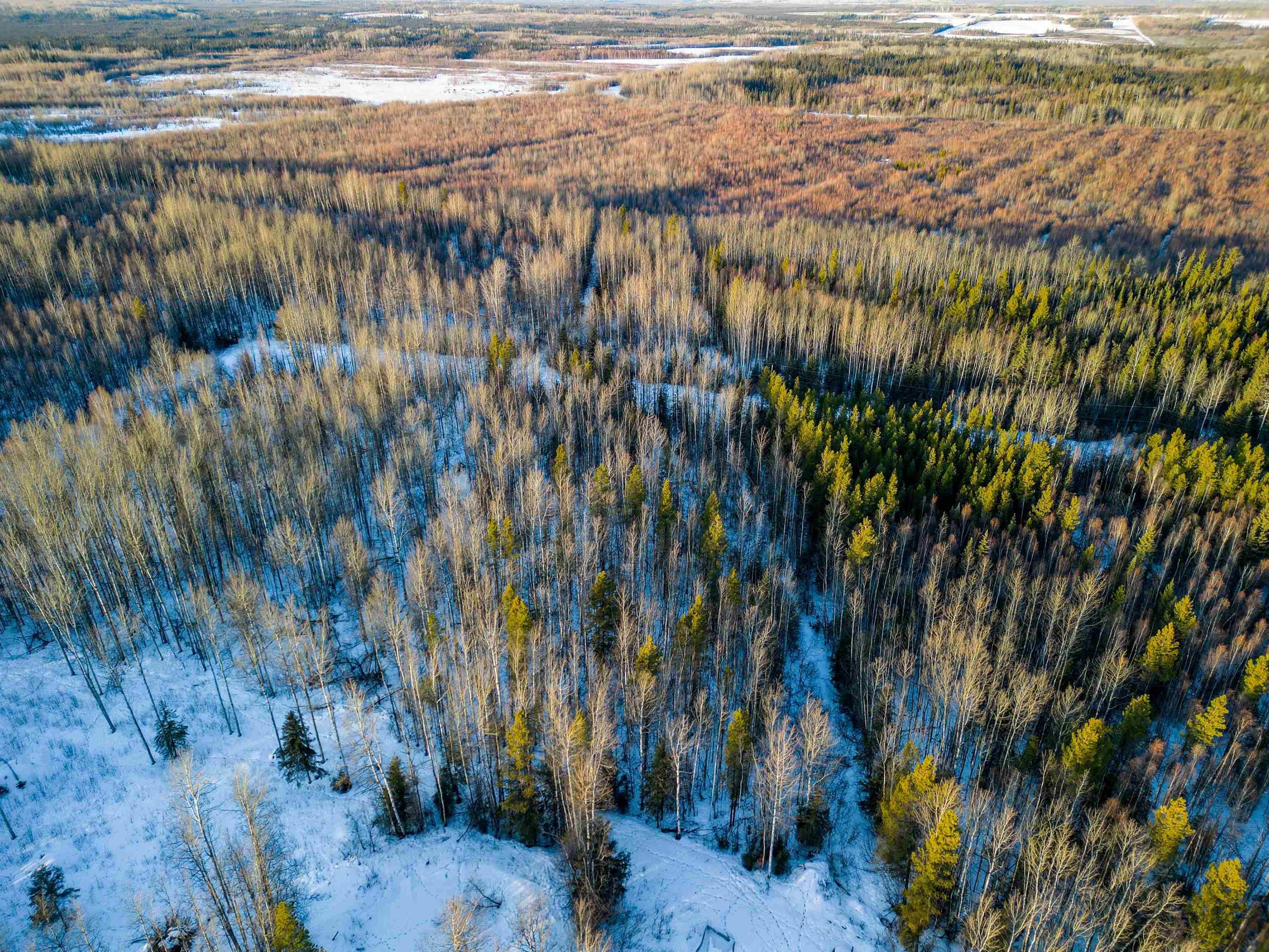 Lot for sale in Fort Nelson, Fort Nelson, 36 Whiskey Jack Crescent, 263020564 | Realtylink.org