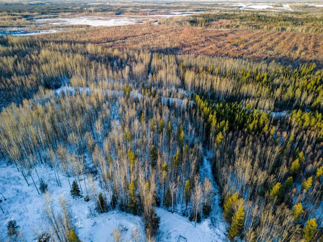 Lot for sale in Fort Nelson, Fort Nelson, 36 Whiskey Jack Crescent, 263020564 | Realtylink.org