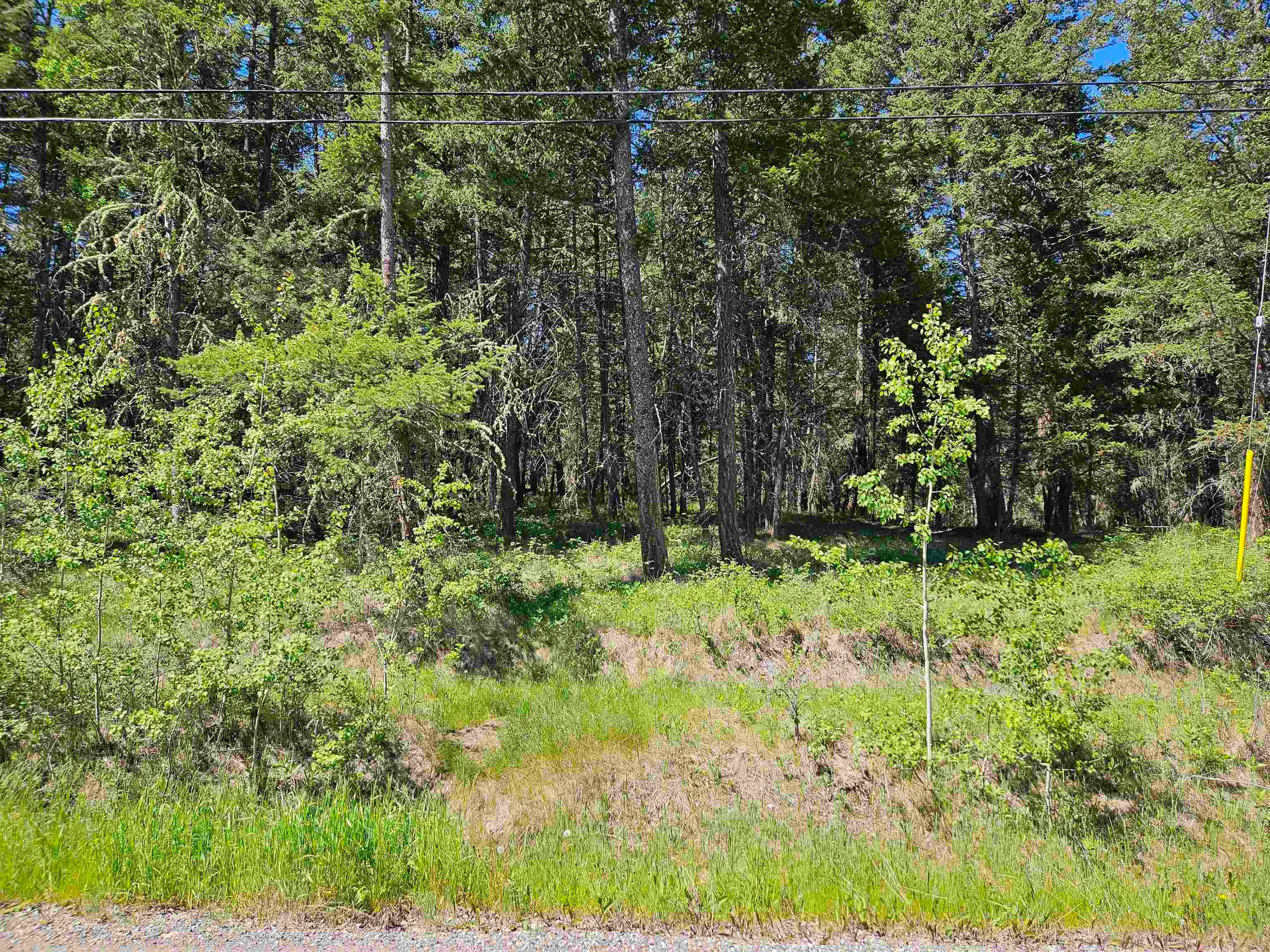 Lot for sale in Williams Lake, Williams Lake, 277 Woodland Drive, 263021850 | Realtylink.org