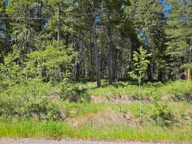 Lot for sale in Williams Lake, Williams Lake, 277 Woodland Drive, 263021850 | Realtylink.org