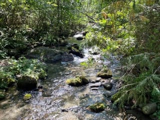 Lot for sale in Hope, Hope & Area, 19 19743 Foster Road, 263022416 | Realtylink.org