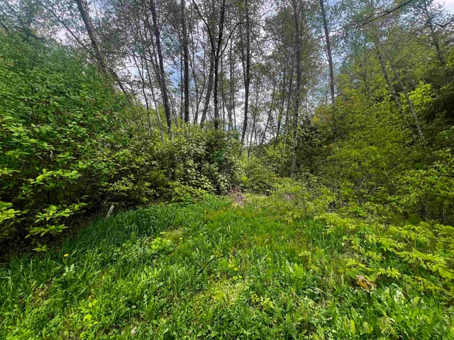 Lot for sale in Terrace, Terrace, Maple Street, 263024557 | Realtylink.org