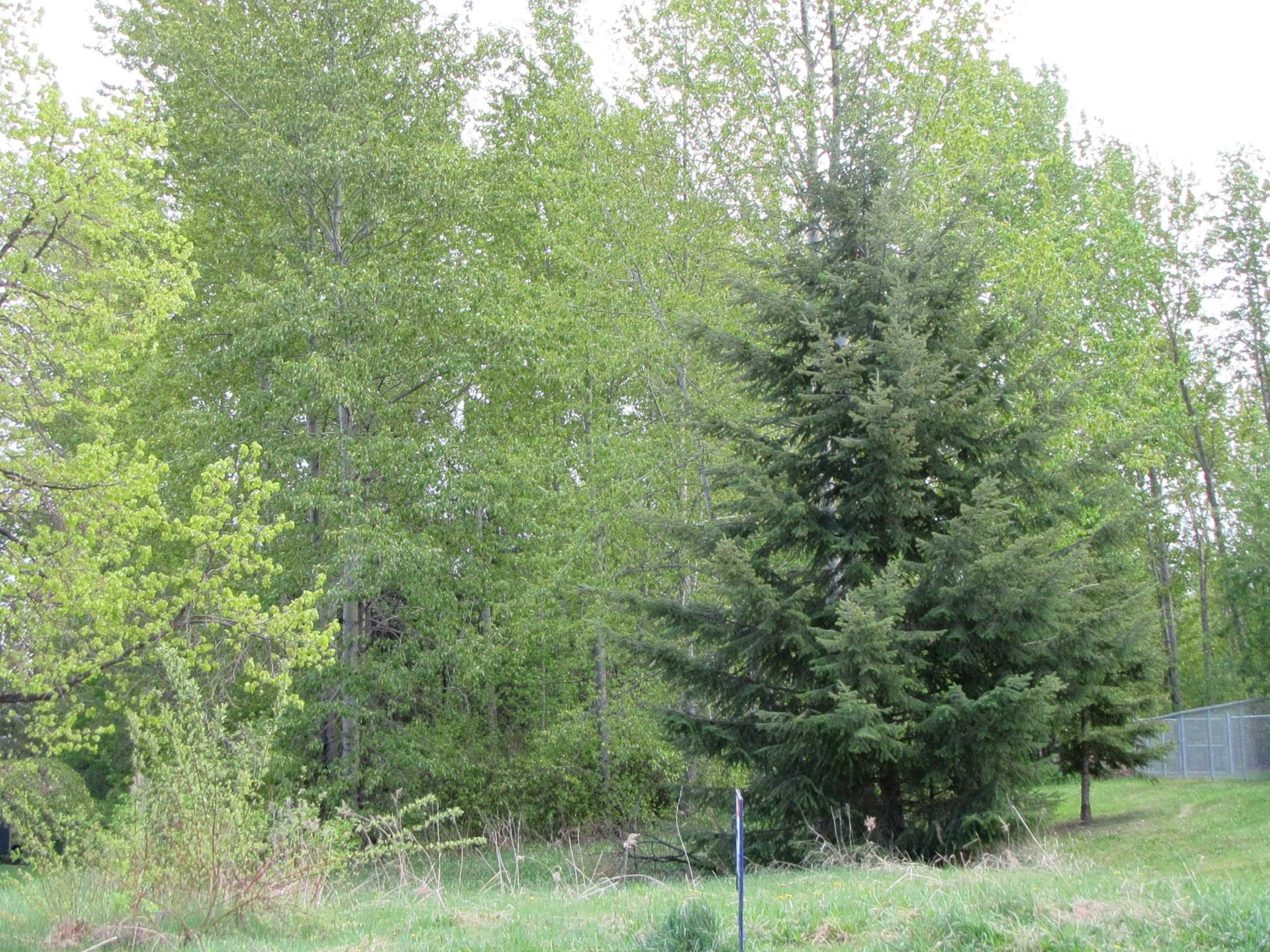 Lot for sale in Prince George, PG City South West, 4068 Barnes Drive, 263024633 | Realtylink.org