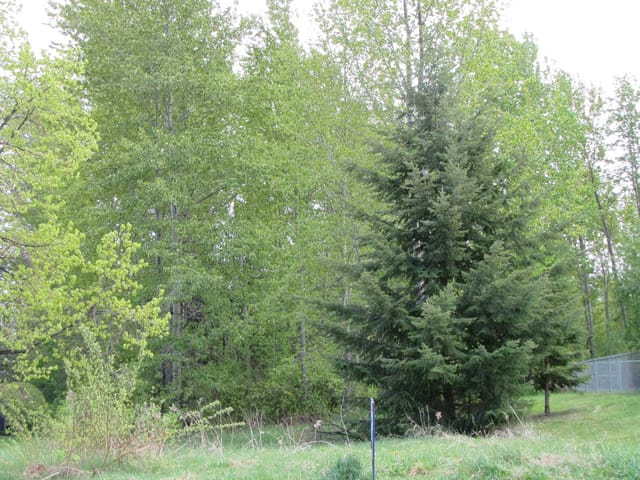 Lot for sale in Prince George, PG City South West, 4068 Barnes Drive, 263024633 | Realtylink.org