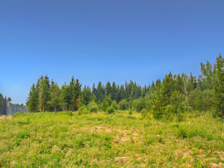 Lot for sale in Bridge Lake, 100 Mile House, PROP Lot 2 Brown Road, 263026166 | Realtylink.org