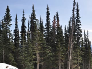 Lot for sale in Smithers, Smithers And Area, Pr. St Lt 8 Alpine Way, 263027754 | Realtylink.org