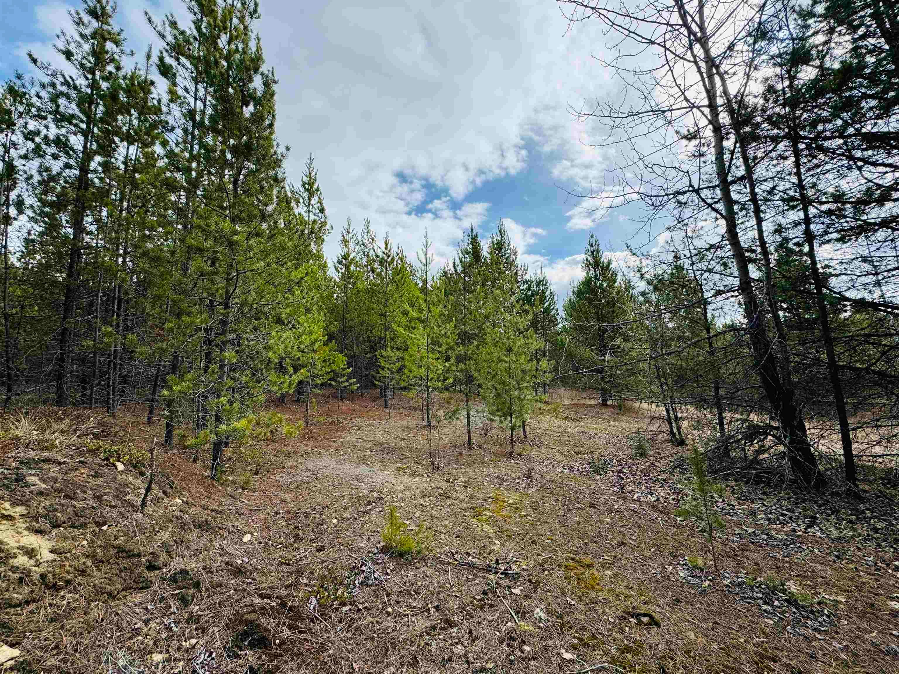 Lot for sale in Valemount, Robson Valley, Lot 5 Starview Road, 263027858 | Realtylink.org