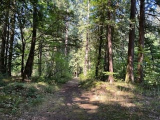 Lot for sale in Hope, Hope & Area, 15 19743 Foster Road, 263028078 | Realtylink.org