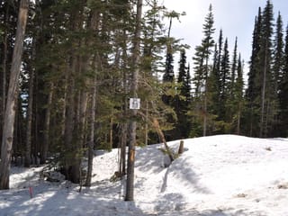 Lot for sale in Smithers, Smithers And Area, Pr. St Lt 11 Alpine Way, 263028083 | Realtylink.org