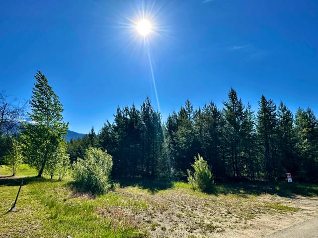 Lot for sale in Valemount, Robson Valley, 1923 Cranberry Place, 263029301 | Realtylink.org
