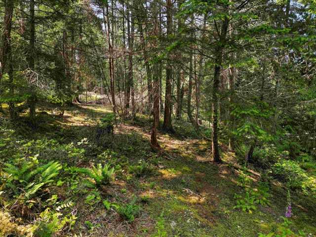 Lot for sale in Mayne Island, Islands-Van. & Gulf, 568 Aya Reach Road, 263031015 | Realtylink.org