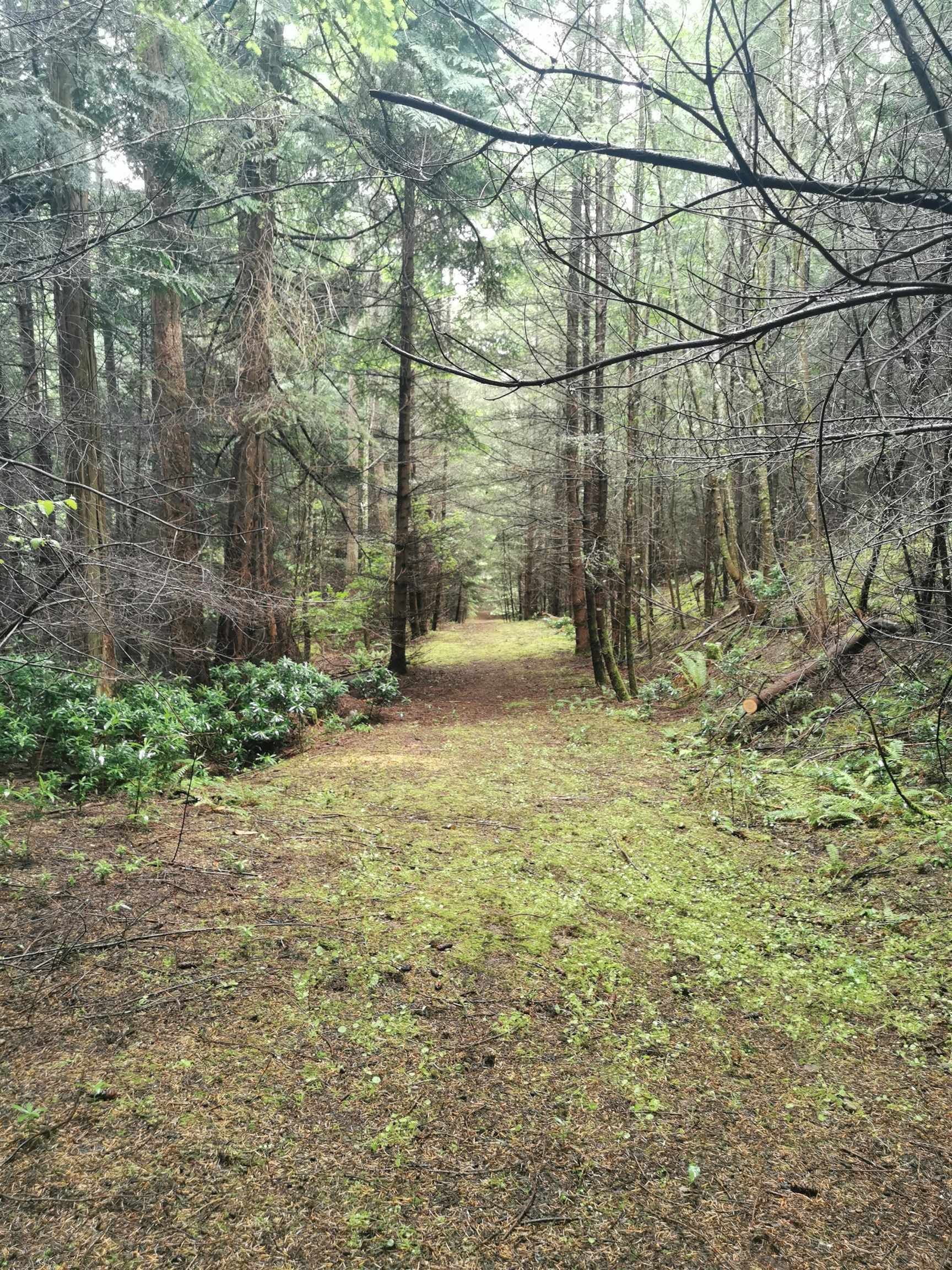 Lot for sale in Mayne Island, Islands-Van. & Gulf, 706 Fernhill Road, 263031119 | Realtylink.org