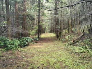 Lot for sale in Mayne Island, Islands-Van. & Gulf, 706 Fernhill Road, 263031119 | Realtylink.org