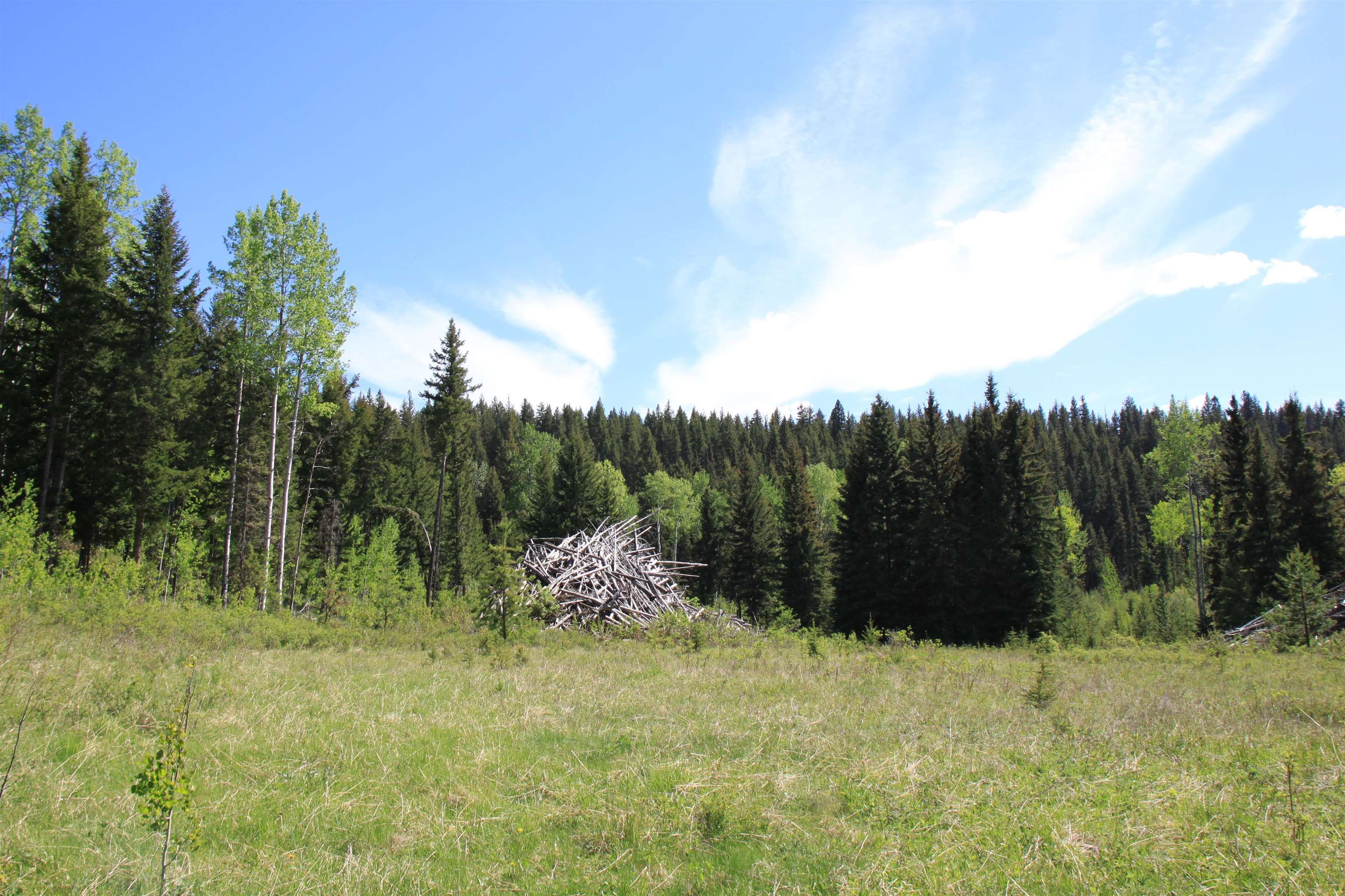 Lot for sale in Bridge Lake, 100 Mile House, PROP 18 Brown Road, 263031511 | Realtylink.org