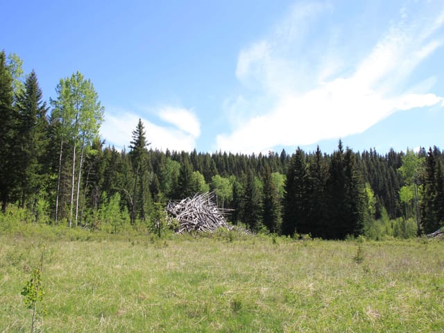 Lot for sale in Bridge Lake, 100 Mile House, PROP 18 Brown Road, 263031511 | Realtylink.org