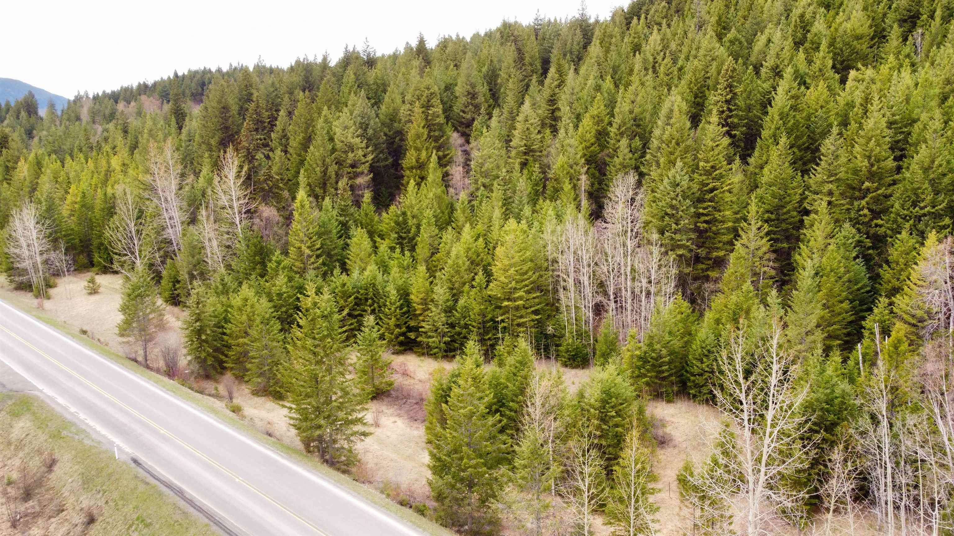 Lot for sale in Canim Lake, 100 Mile House, Lot 5 Canim Hendrix Lake Road, 263032105 | Realtylink.org