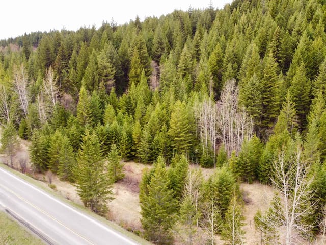 Lot for sale in Canim Lake, 100 Mile House, Lot 5 Canim Hendrix Lake Road, 263032105 | Realtylink.org