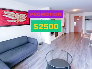 Apartment for rent in Vancouver, Vancouver West, 502 161 West Georgia St, 263032165 | Realtylink.org