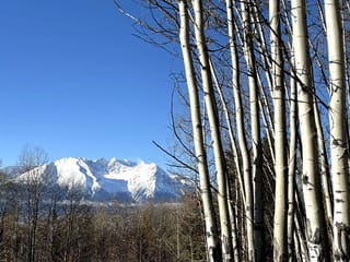 Lot for sale in Smithers, Smithers And Area, 9410 Adams Road, 263033379 | Realtylink.org