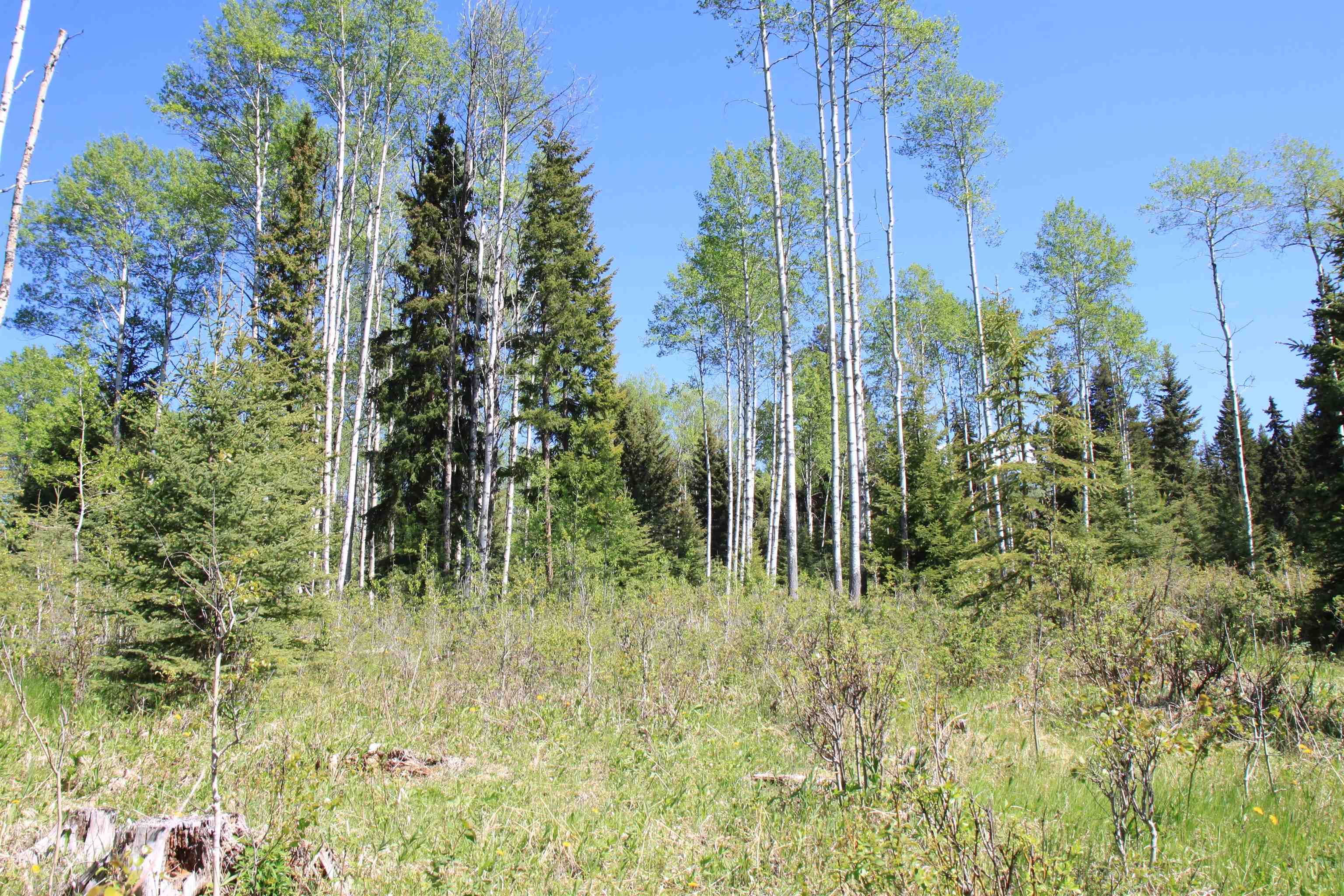 Lot for sale in Bridge Lake, 100 Mile House, PROP Lot 21 Brown Road, 263033533 | Realtylink.org