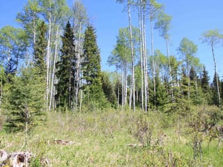 Lot for sale in Bridge Lake, 100 Mile House, PROP Lot 21 Brown Road, 263033533 | Realtylink.org