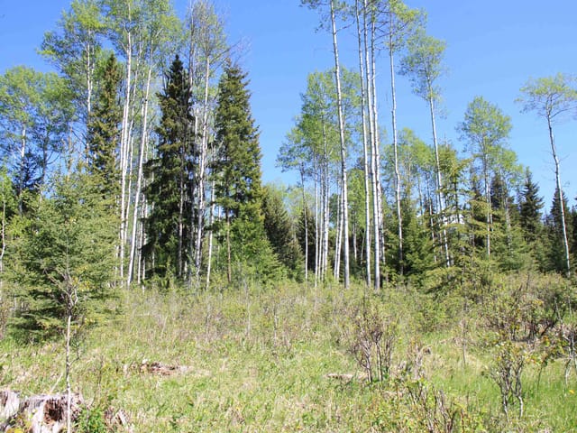 Lot for sale in Bridge Lake, 100 Mile House, PROP Lot 21 Brown Road, 263033533 | Realtylink.org